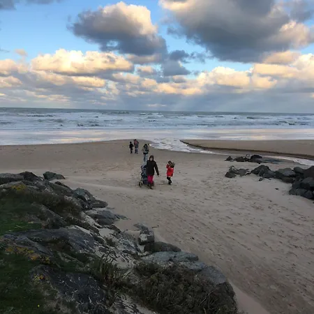 Bleue Des Perriots *